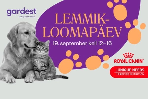 Reklaam
