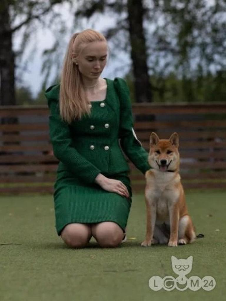 Beautiful purebred puppy with no flaws from an interchampion parent 4/7